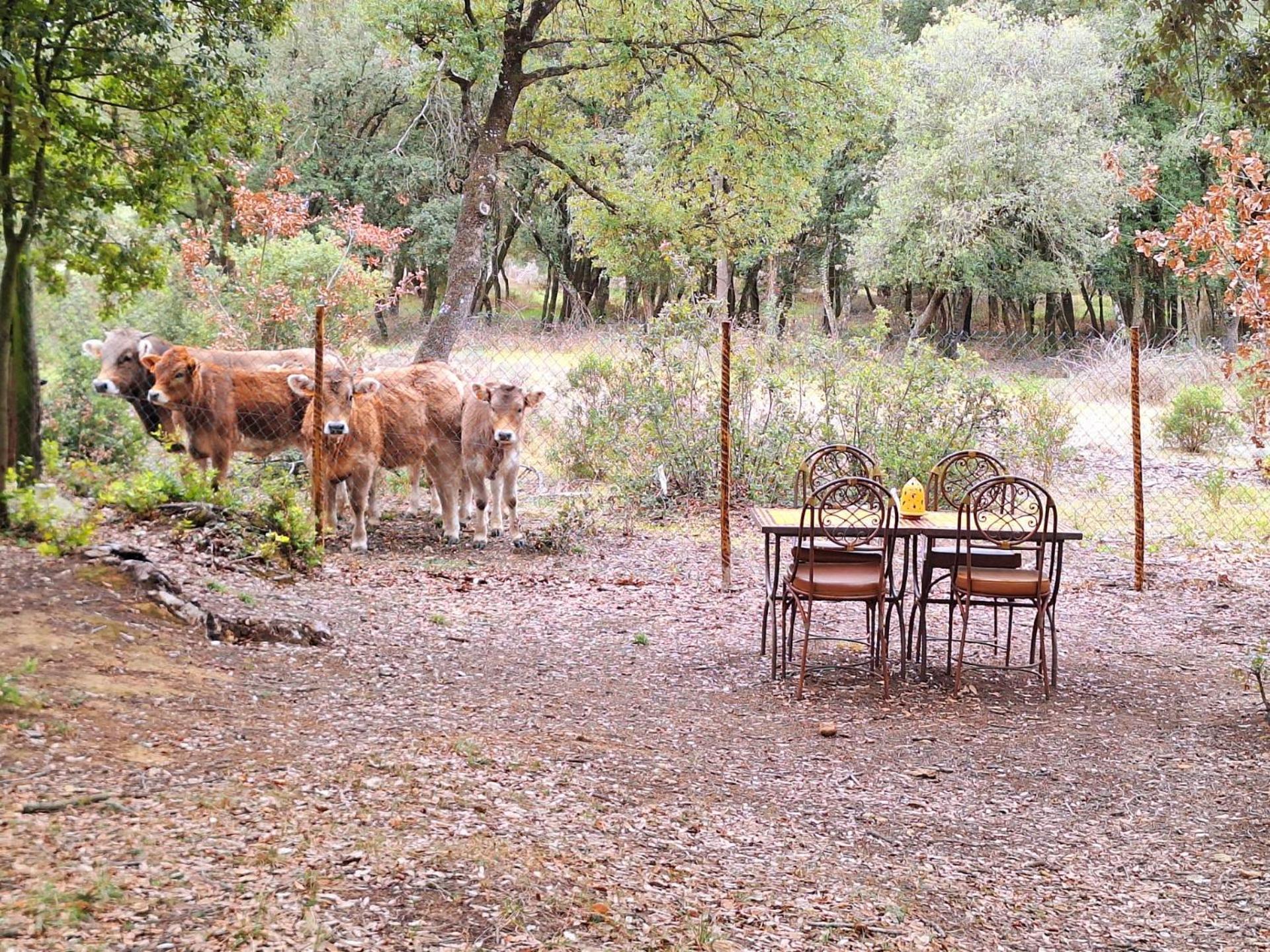 Casa Natura Montseny Barcelona Bagian luar foto